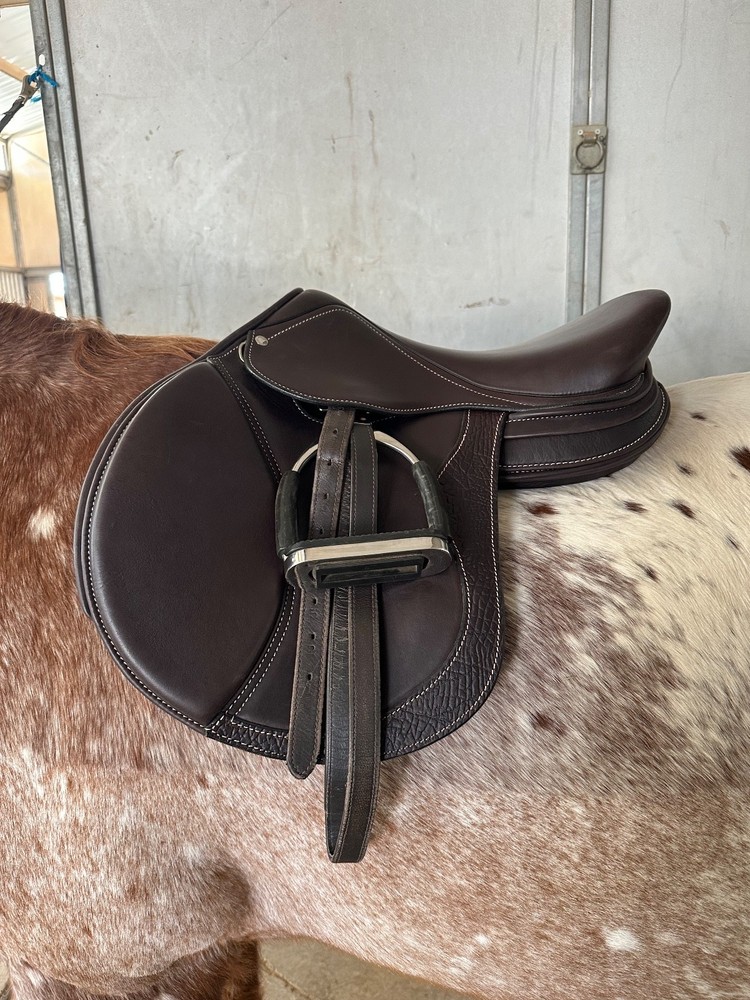 Schleese Cosmic Jump Saddle