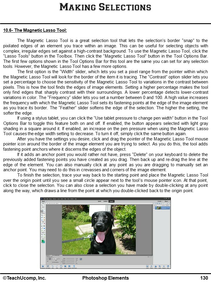New PHOTOSHOP ELEMENTS 2020 DELUXE Training Tutorial & Quick Reference Guide