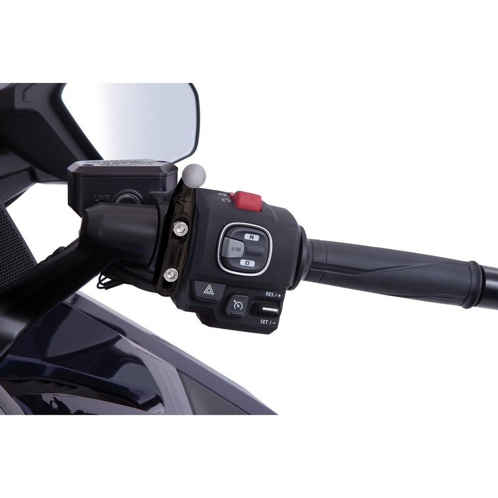 Goldstrike Black Perch Accessory Mount Kit - 58119