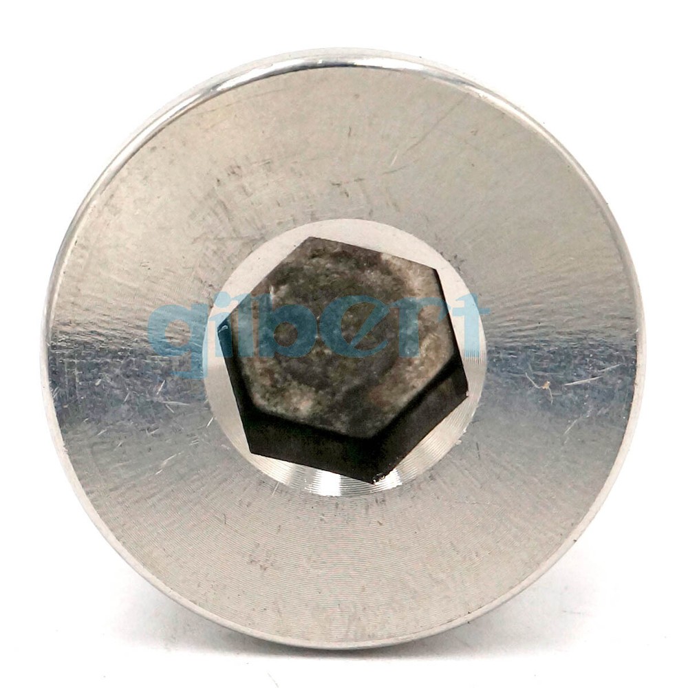 3/4" BSP Male 304 Stainless Hex Socket Countersunk End Plug Flanged