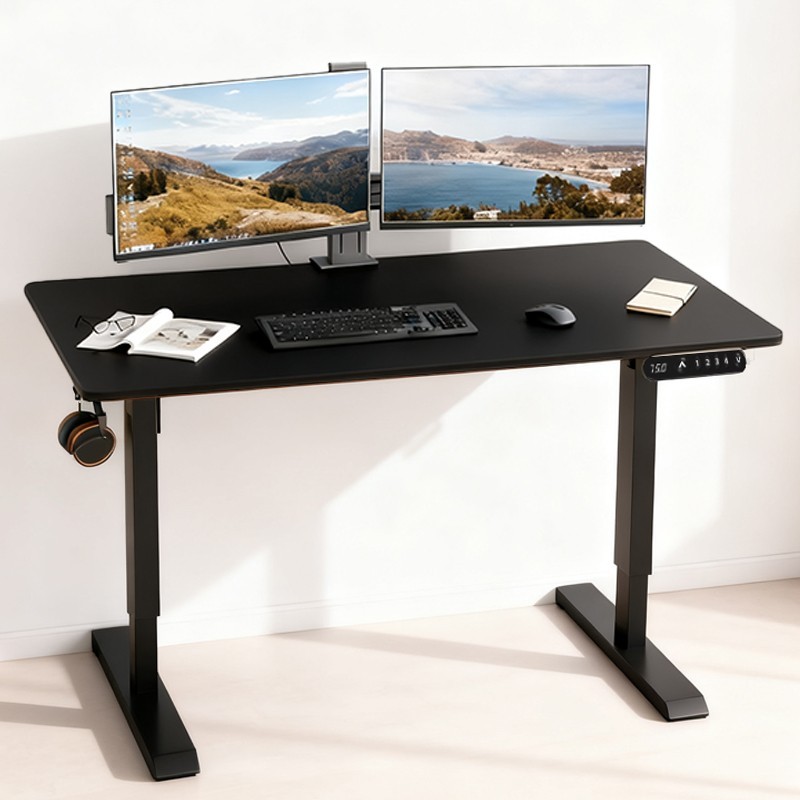 Modern Electric Standing Desk Height Adjustable Computer Desk Study Gaming Table