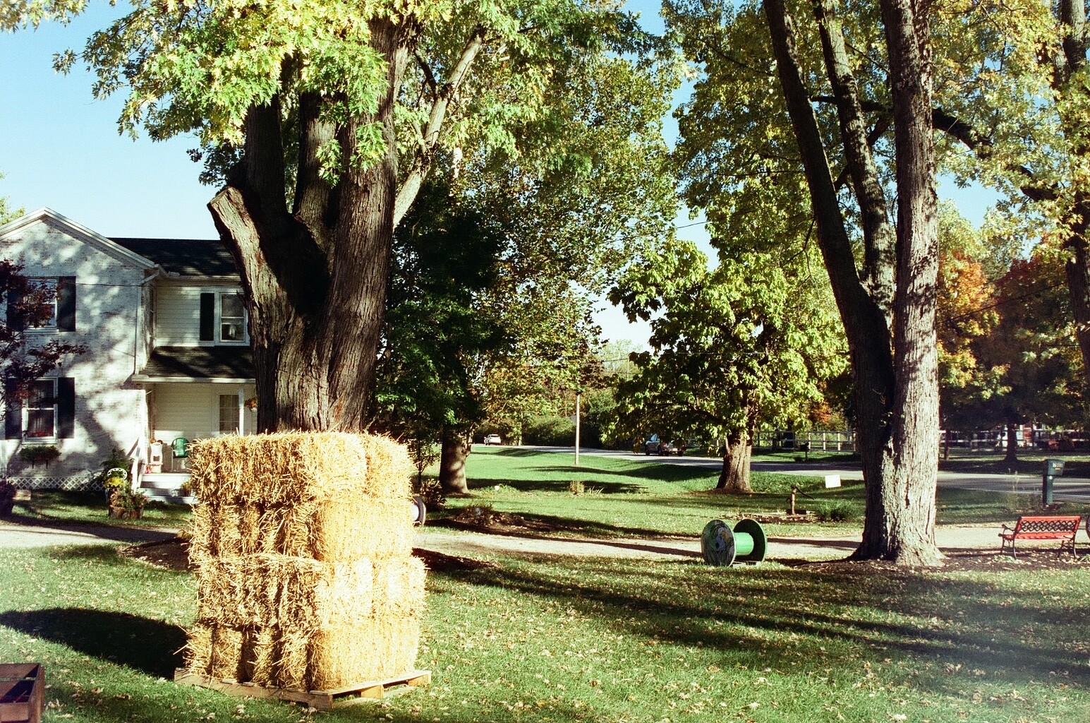 Cyberpunk 400D 36 exp C41 35mm Color Negative Film NO REMJET Kodak Vision3 250D