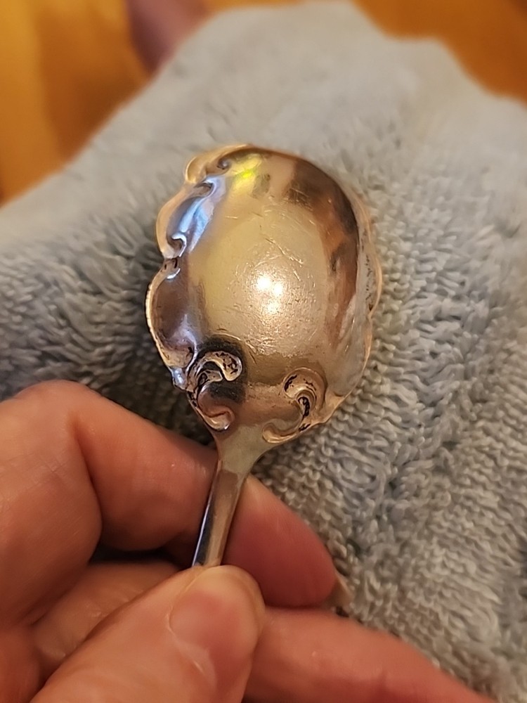 1894 Florida Pattern Sugar Shell Spoon - 5 3/4" ' Int Silver