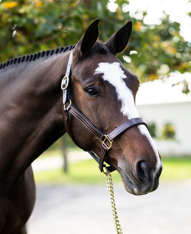 KL Select Red Barn Julie Halter