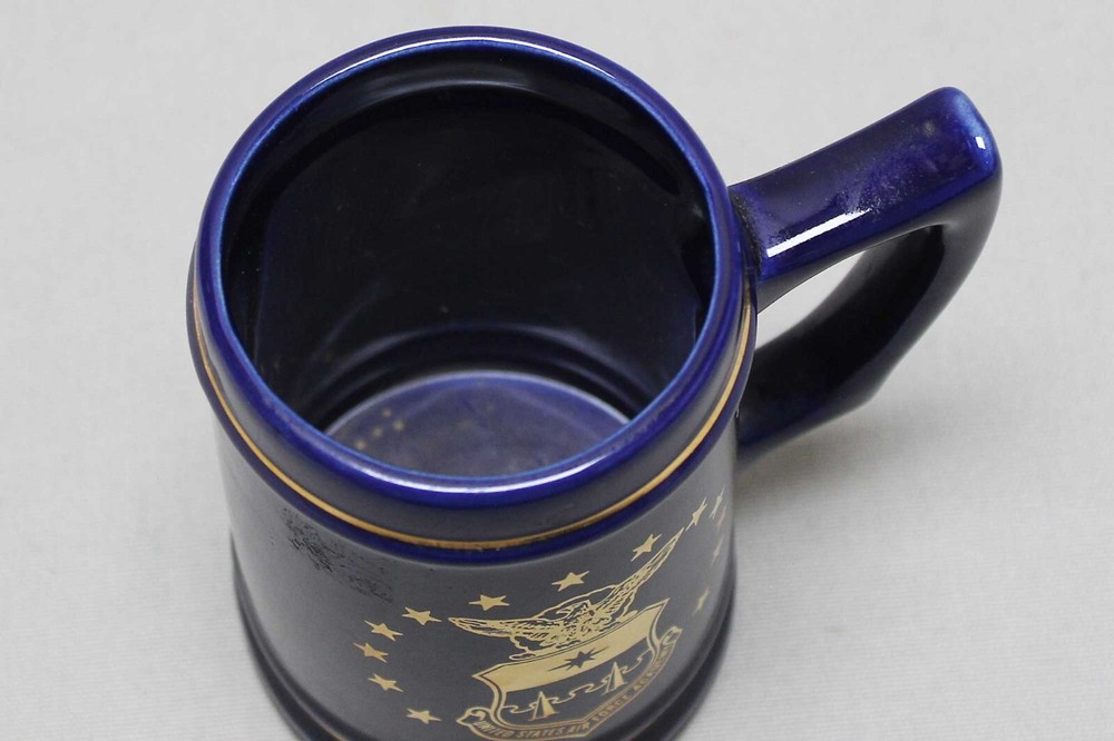 USAF Academy Blue Mug . FLU4718