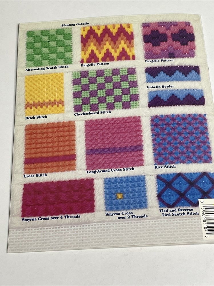 ASN First Steps In Needlepoint A Beginner's Guide To Canvas Work Paperback