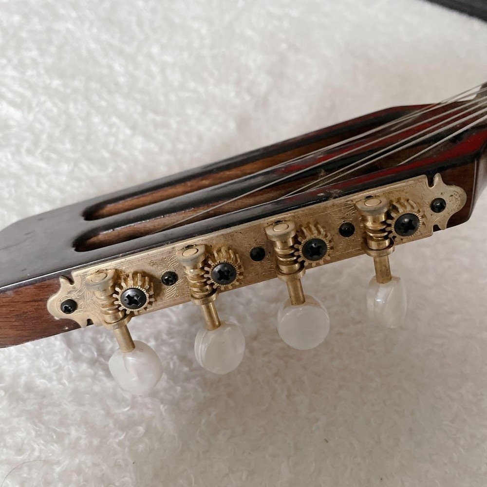 SUZUKI Mandolin M-60 with hard case