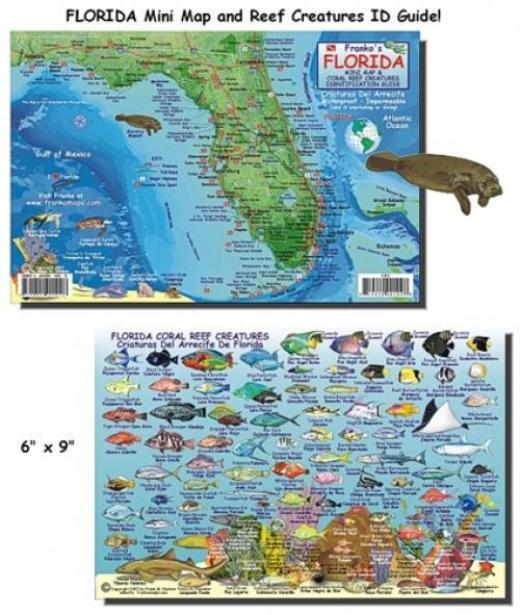 Franko Maps - Florida Reef Fish ID