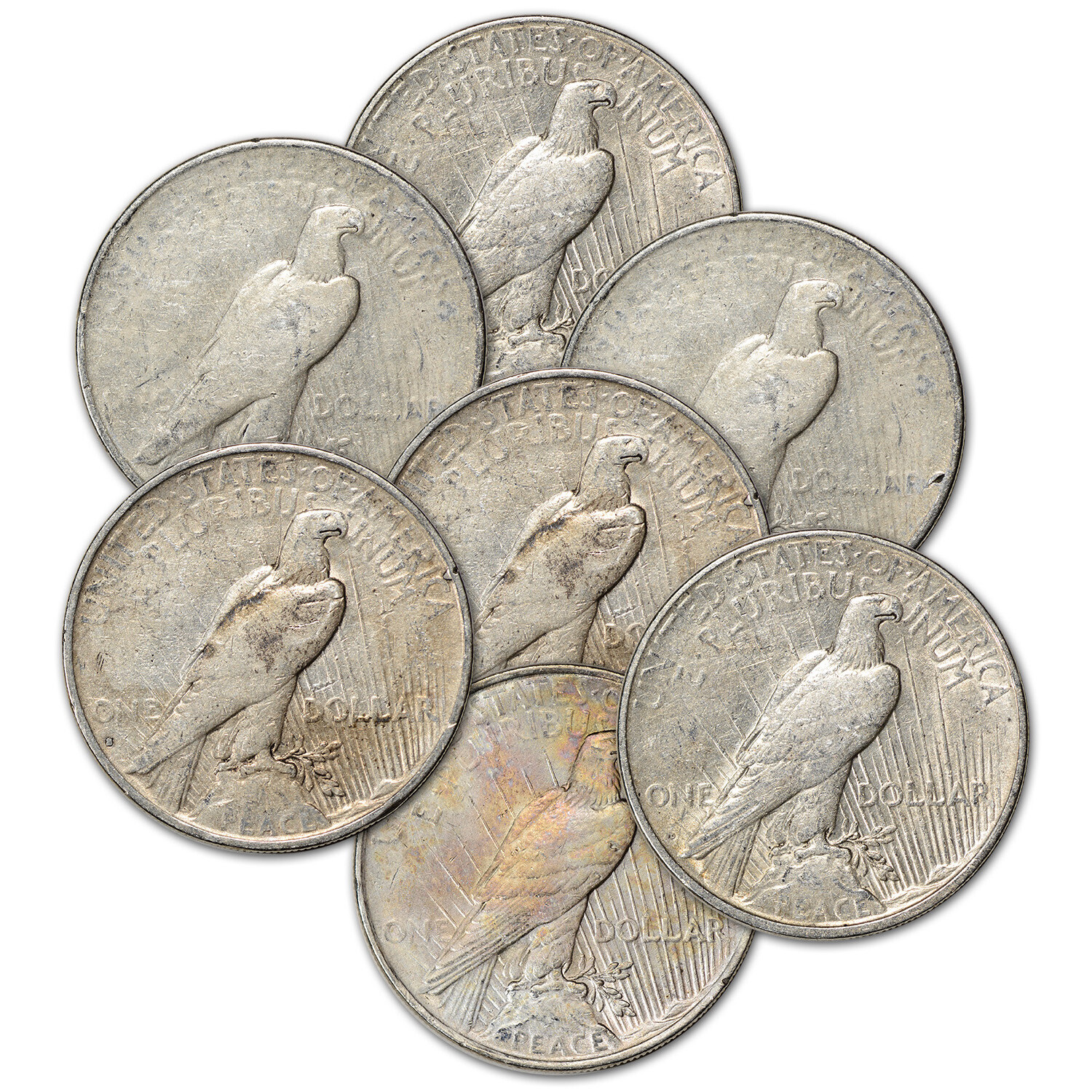 US Peace Silver Dollar - Roll of 20 coins - Cull - Random Date