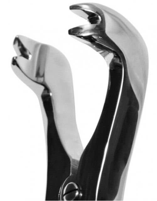 12" Equine Dental Four Prong Compound Cap Forceps