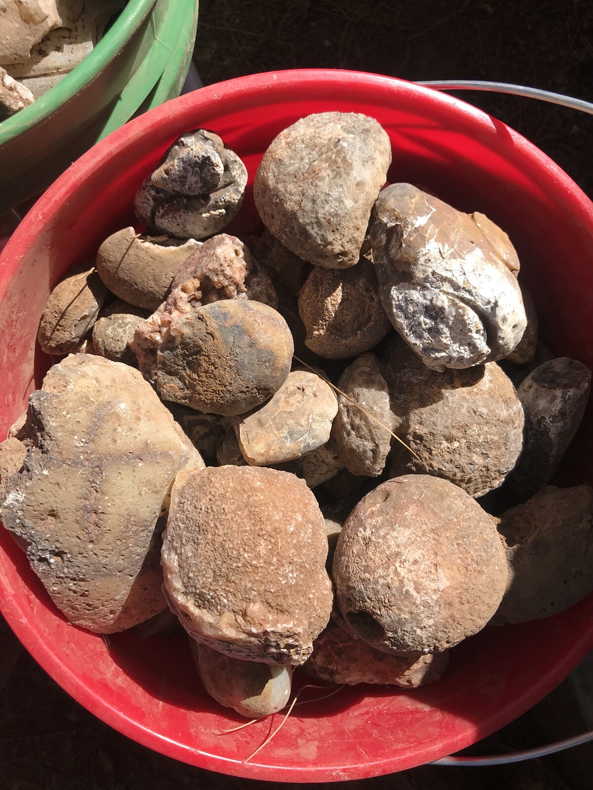 Colorful Agates From o6 Kokernot West Texas Ranch: Agate Rough Lapidary Rock
