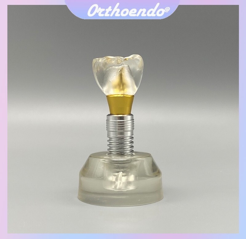 Dental Implant Prosthesis Demonstration Teeth Study Teach Models Removable M2020