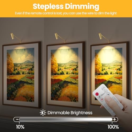 Zoomable Picture Light Spotlight,Plug in LED Picture Lights for 1 Pack Gold