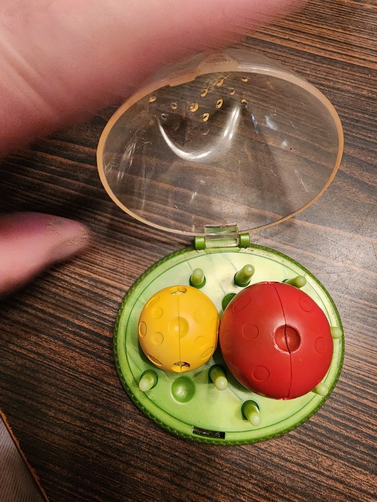 Small Decoartive Ant Farm