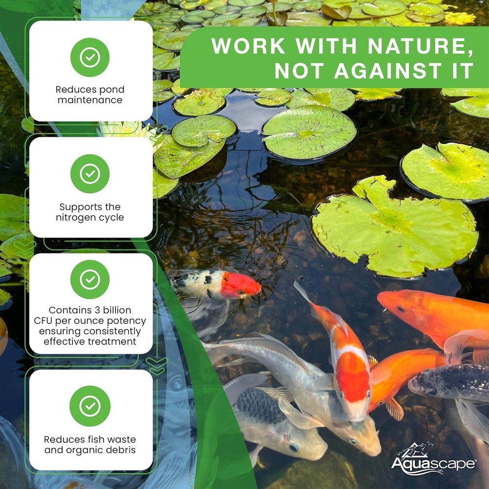 Beneficial Bacteria for Water Features