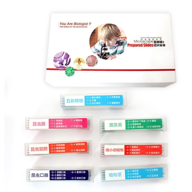 35PCS Lab Grade Microscope Slides Set Seven Types for Biology Students
