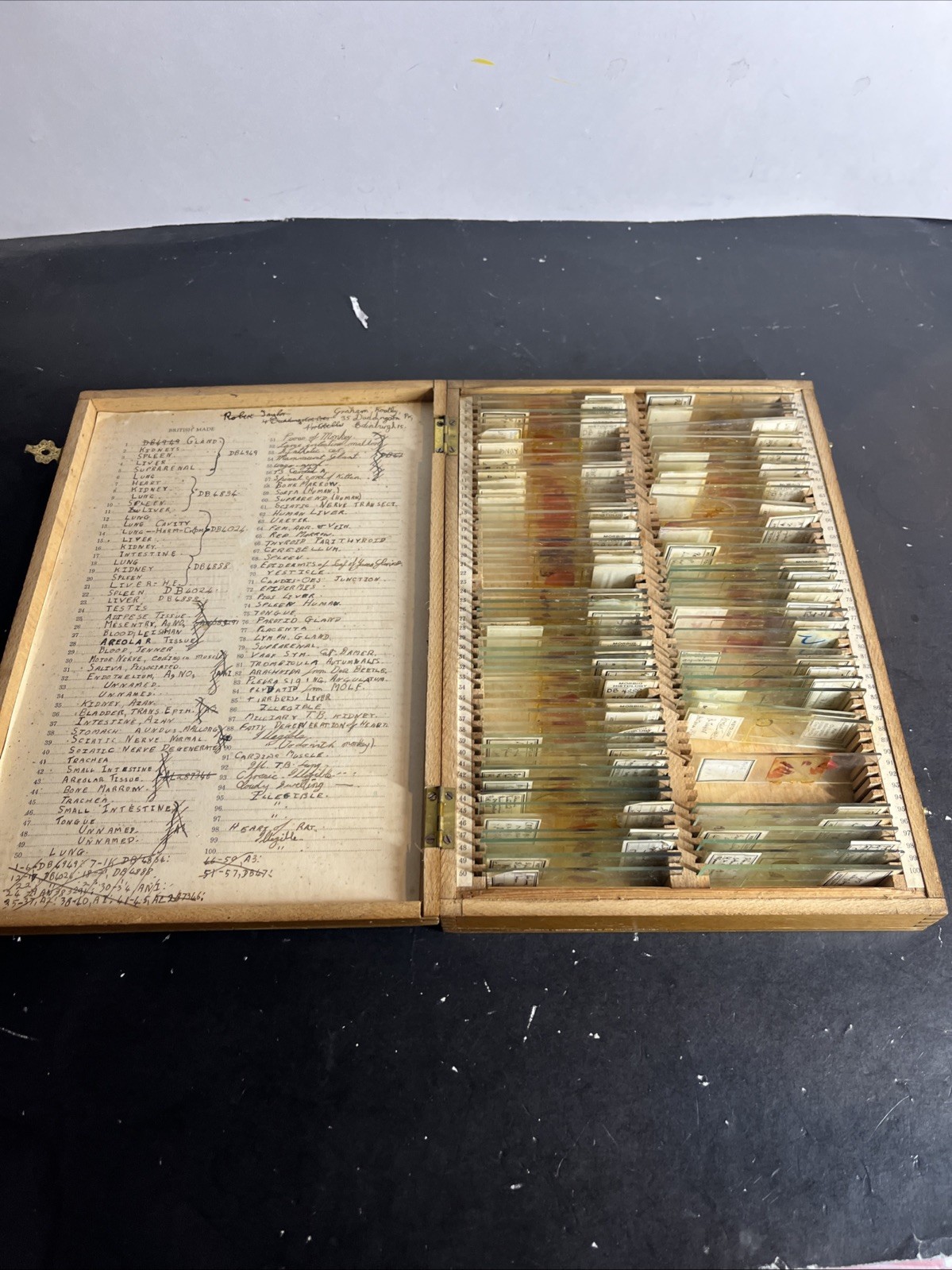 Antique 1936 University of Edinburgh Histology Microscope Slide Set Case 83