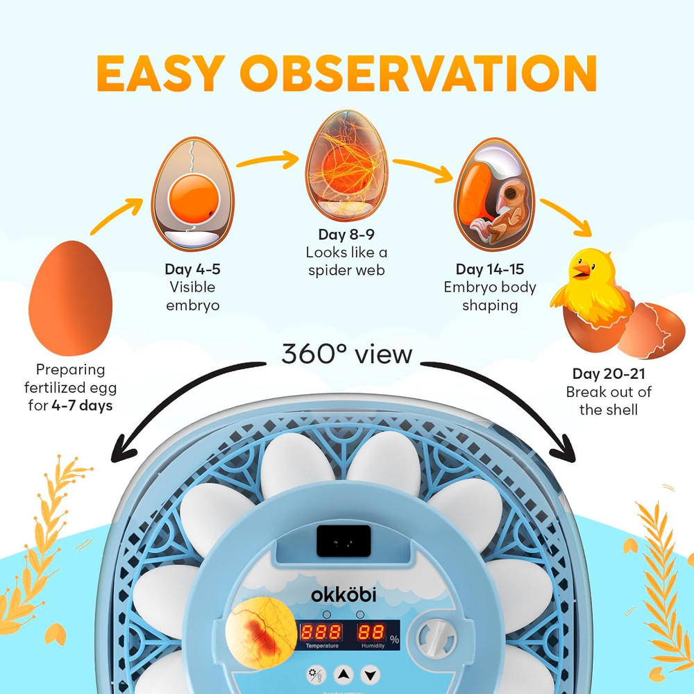 12-Egg Automatic Incubator with Humidity Control and 360° Viewing Window