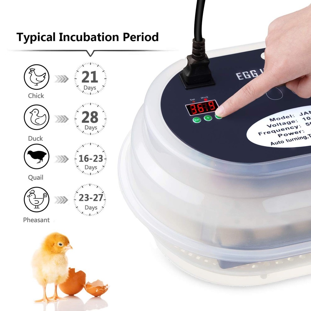Fully Automatic Egg Incubator with Temperature Display for Poultry Hatching
