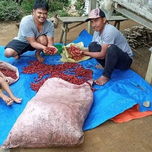 Philippines Coffee Subscription