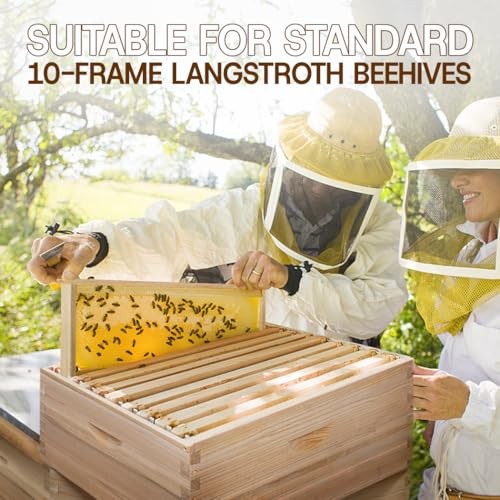 Medium Super Beehive Box,Langstoth Super Honey Bee Hive Box, Include 10 Frame