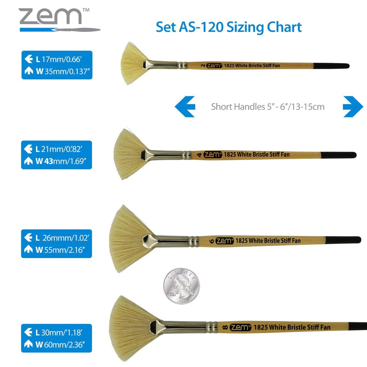 AS-120 White Stiff Fan Hog Bristle Brush Set 4pcs