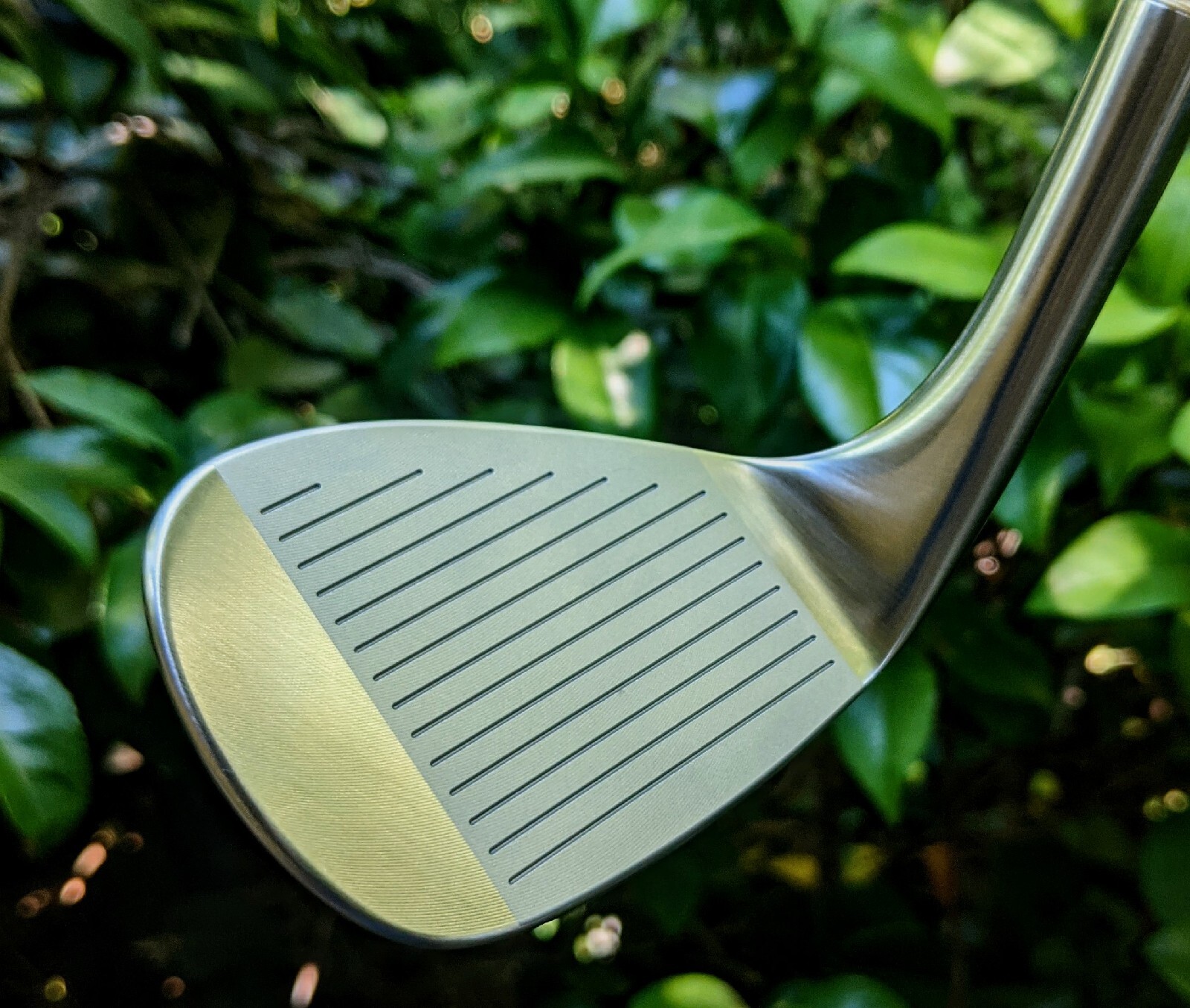 Blank Golf Wedge