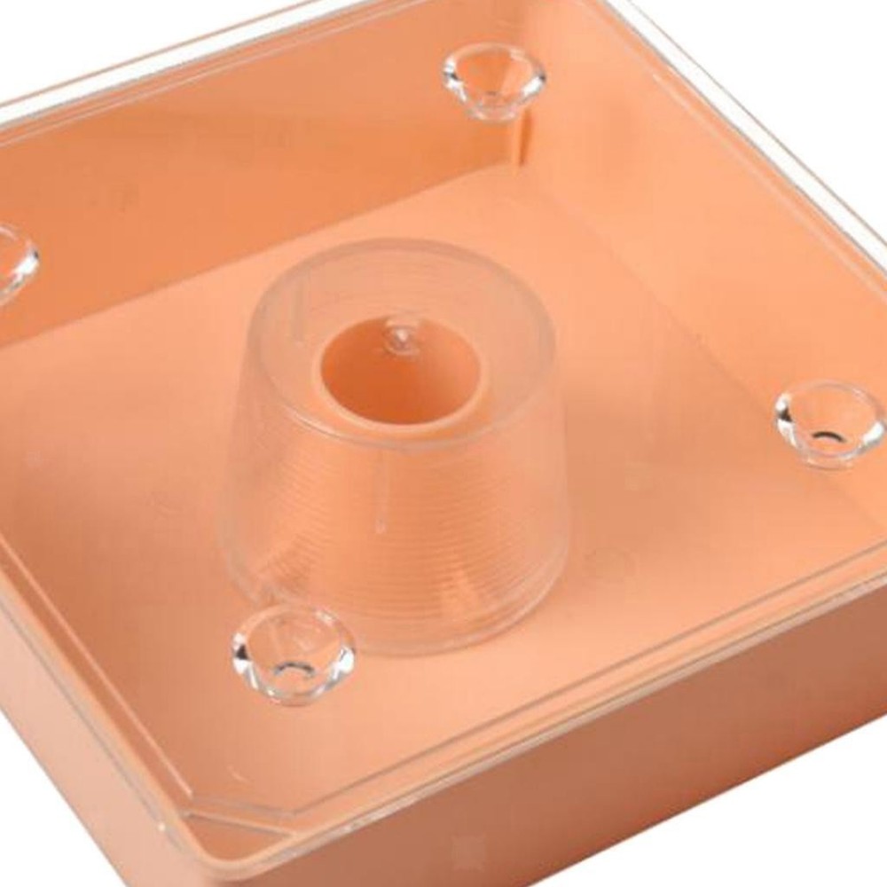 square 2L beehive Pre-assembled Durable High Quality Feeder