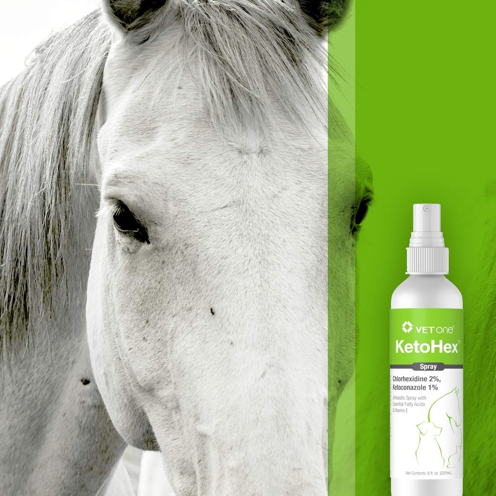 Ketohex Spray 8 oz