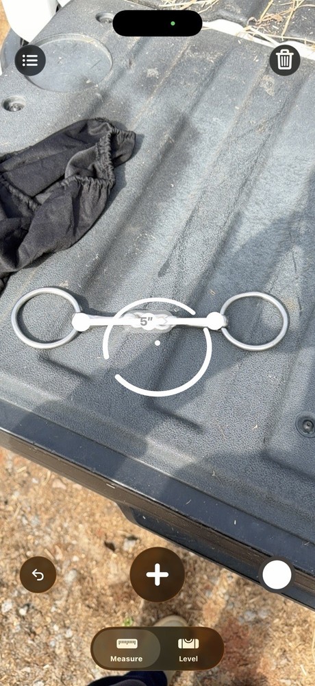 French Link Loose Ring Snaffle Bit 5” Stainless Steel Double Jointed