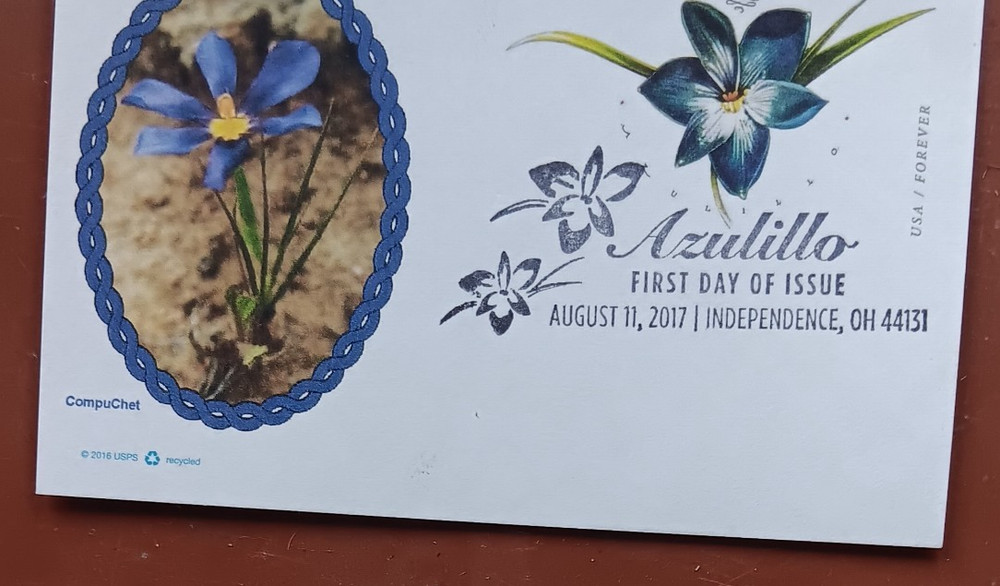 AZULILLO CROCUS FLOWER 2017 COMPUCHAT CACHET FIRST DAY CARD UNADDR