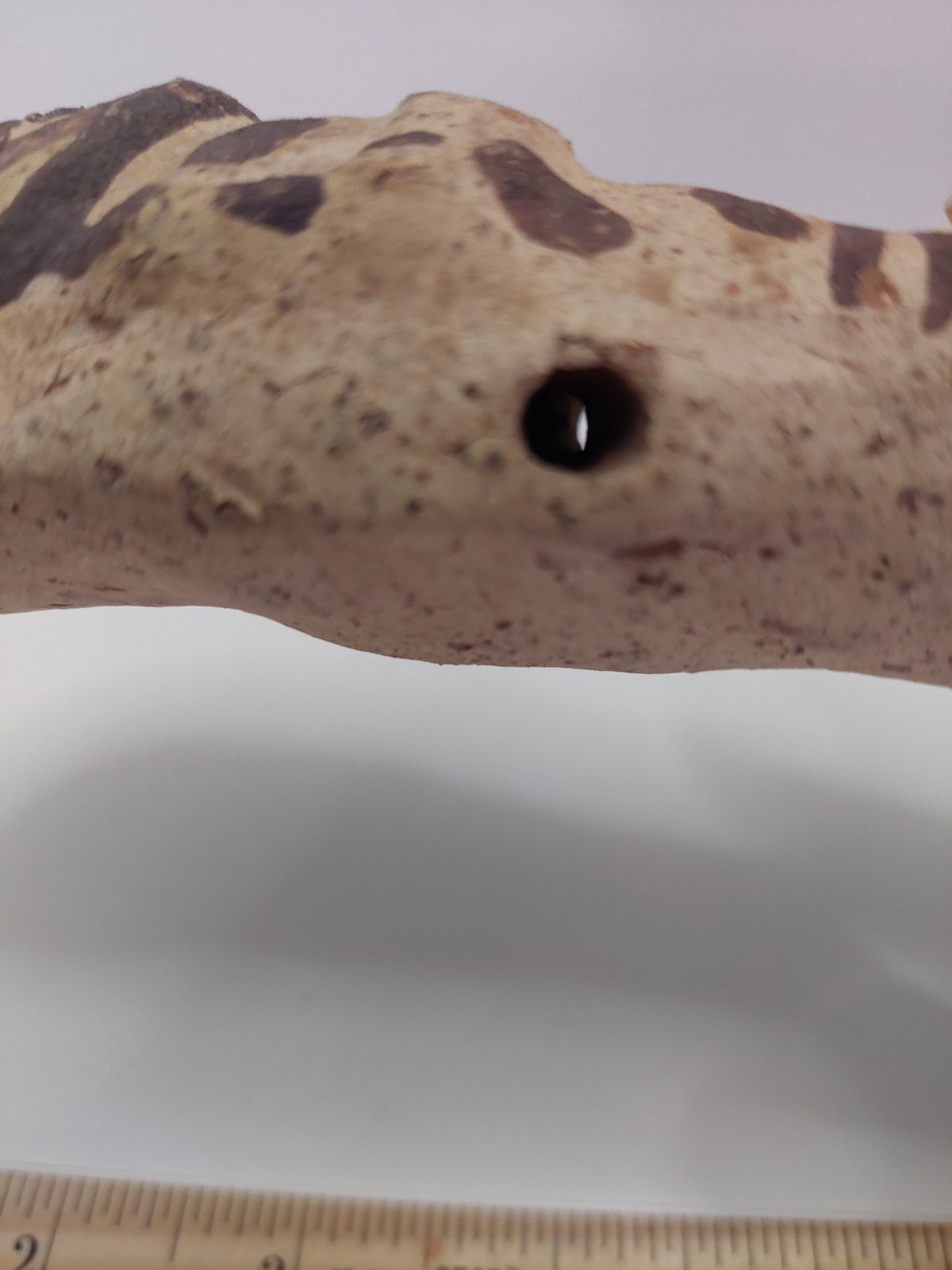 Pre-Columbian Chancay Peruvian Slip Painted Pottery Cuchimilco Figure 1200-1450