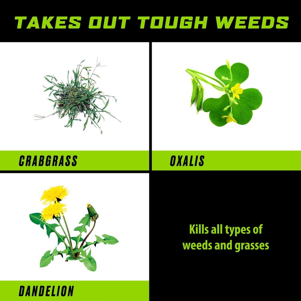 Ortho GroundClear Weed & Grass Killer2 Concentrate Quickly Kills 32 oz