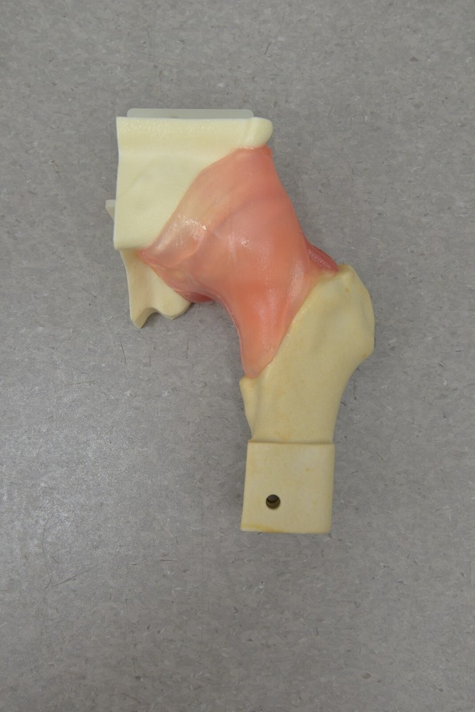 Chamberlain Group Hip Labrum Trainer 6005 W/ Case