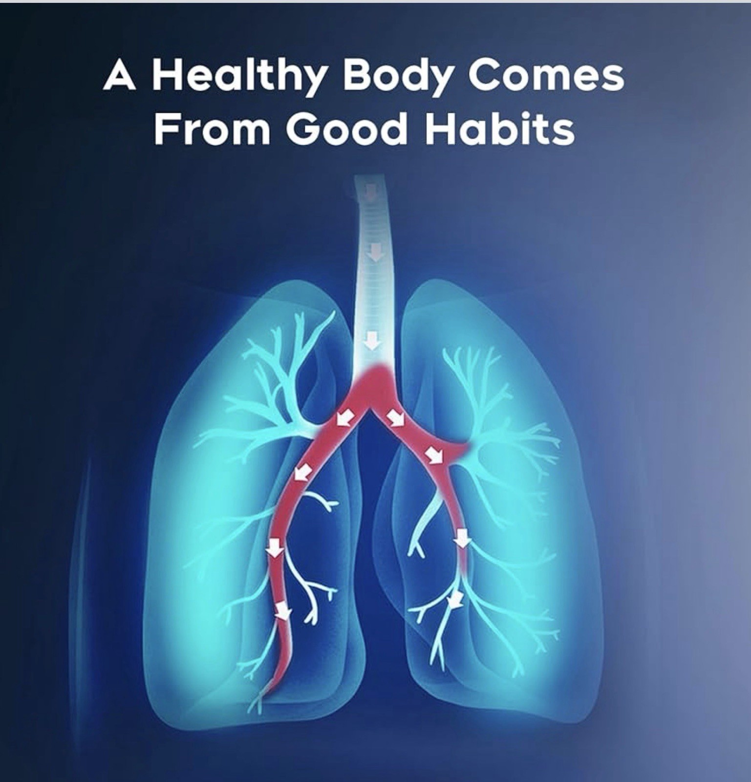 No Smoke Air Inhaler + 100% Natural Plant Essential Oil 16 DoubleMint Inner Core