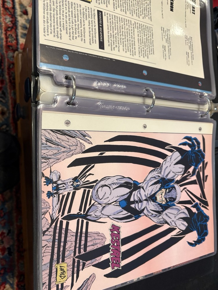 Comic Book Bio Binder