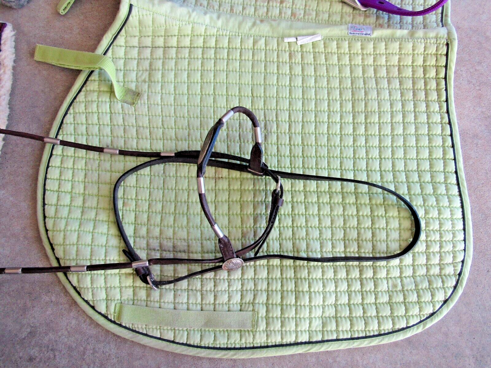 Horse riding and care equipment large lot !