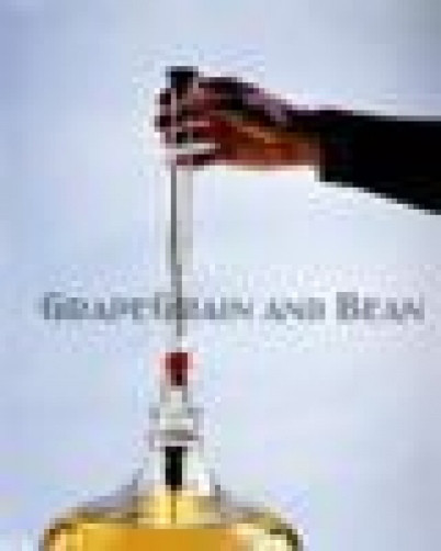 Fermtech Wine Thief, Plastic Wine Thief,