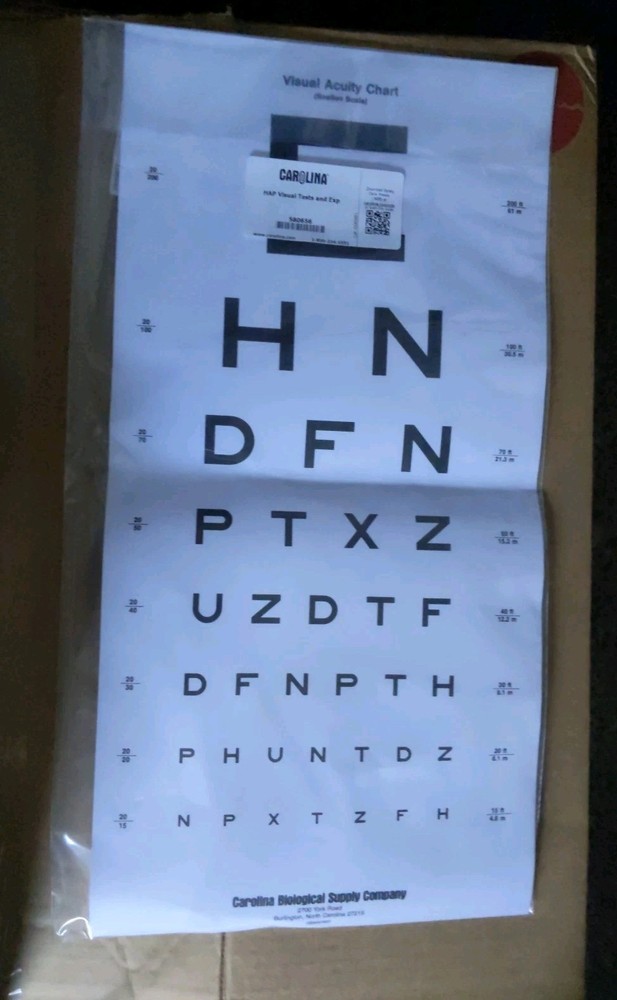 Snellen Eye Chart Carolina + Tools