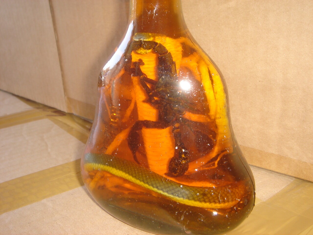 Real Cobra Snake And Scorpion In Large X O Glass Bottle 7" Tall