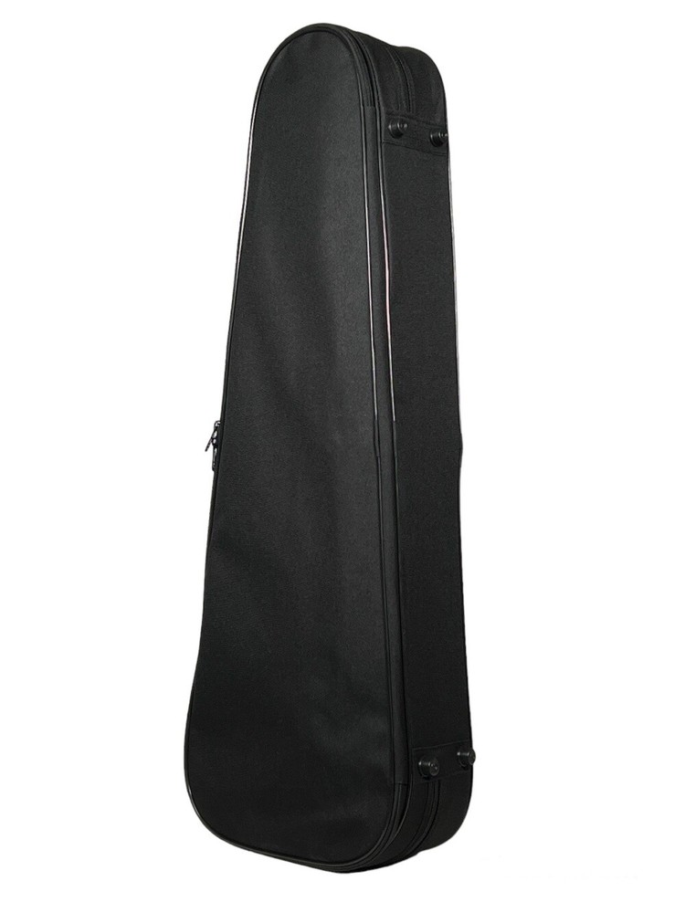 Petz Violin Violin Case Triangular Shape with Shoulder Rest Compartment in 5 ...