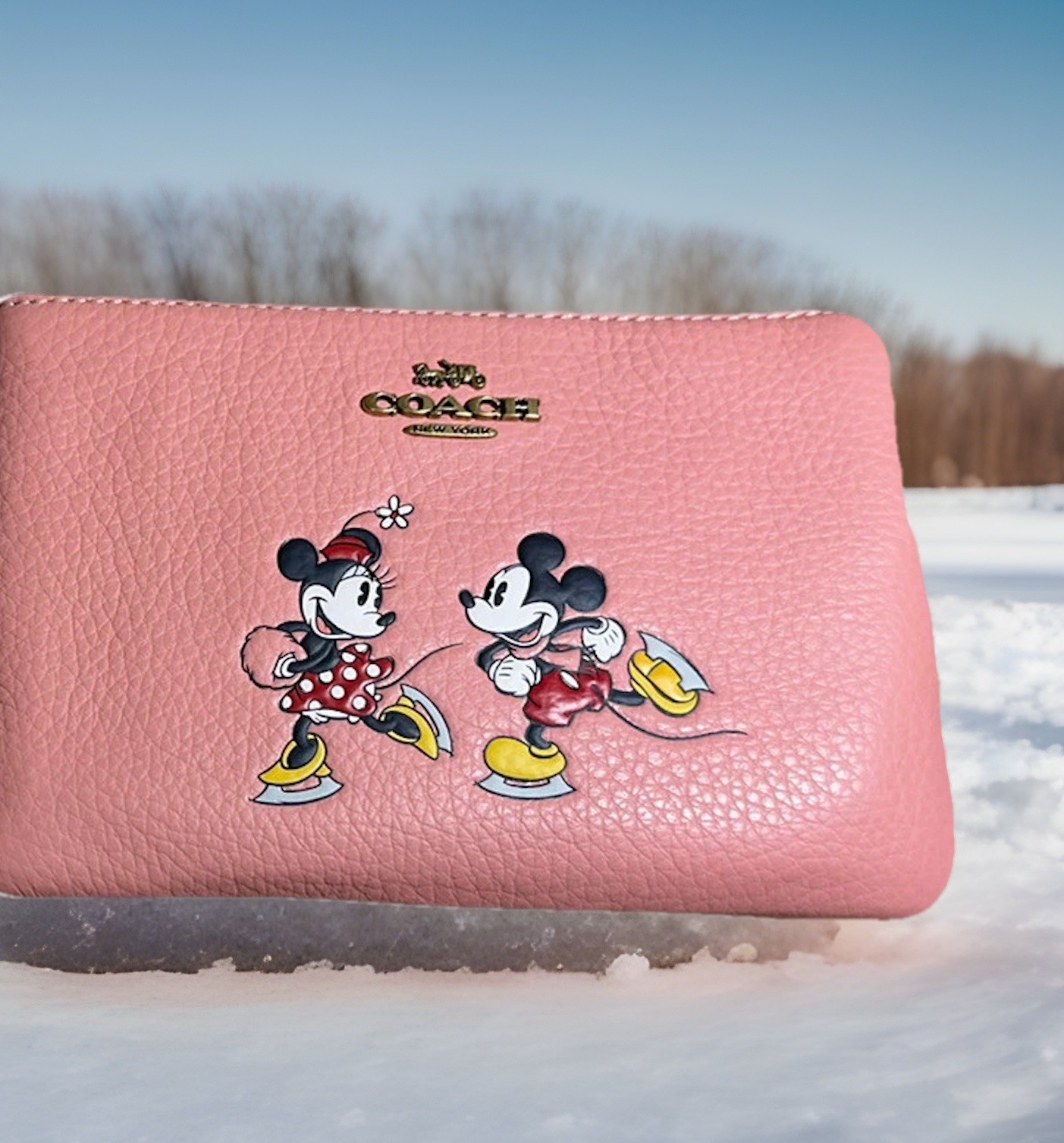 NEW Disney x Coach Corner Zip Wristlet Ice Skate Motif Mickey and Minnie Mouse