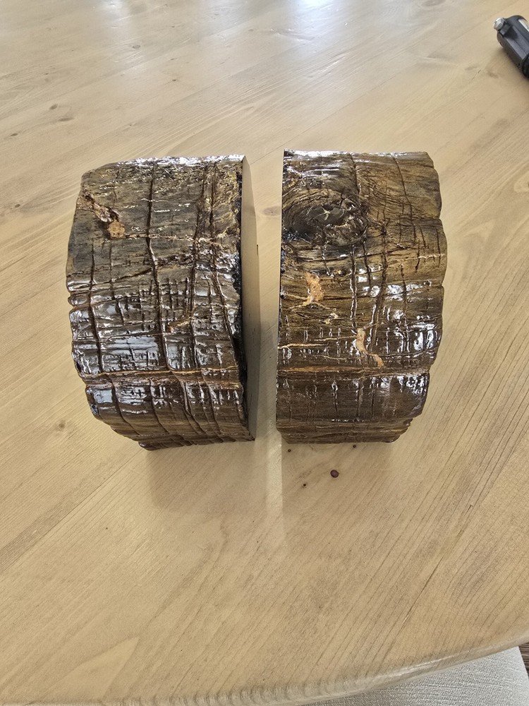 Petrified Wood Book Ends Glossed