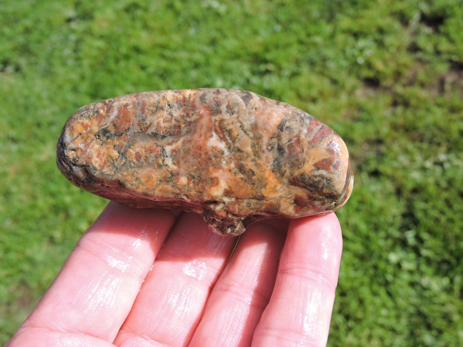 Lot of 🌈 Tumbler Size RAINBOW MIXED STONES from PNW (11.5 lbs) WEST COAST ROCKS