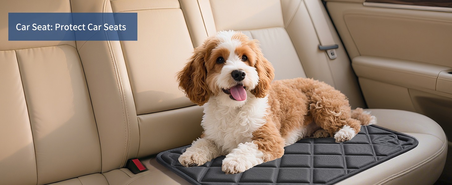 Dog Cooling Mat, Ice Silk Self Cool Pad for Dogs and Cats (35"x24", Black)