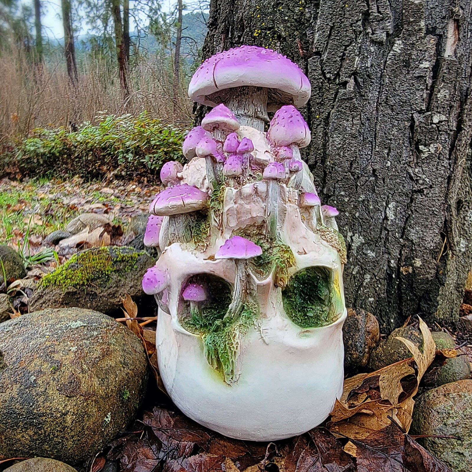 Mushroom skull, violet webcap, goblincore, oddities decor