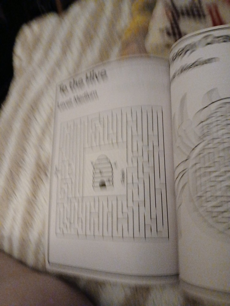MAZE CRAZE Activity KIDS' Book