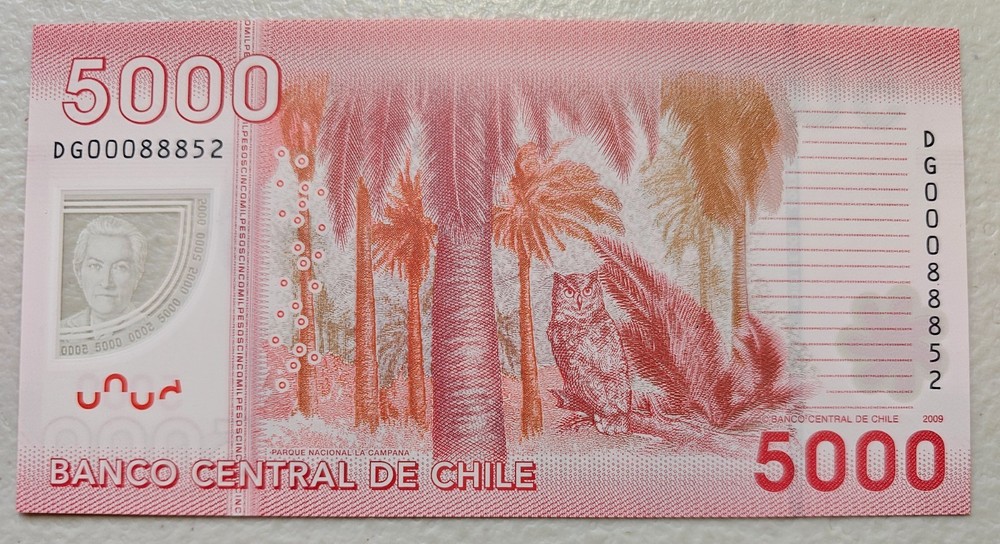 Chile 5000 Pesos 2009 Unc