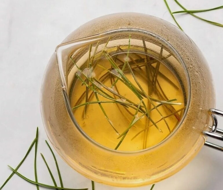 Fresh Wild Harvested Organic Pine Needles