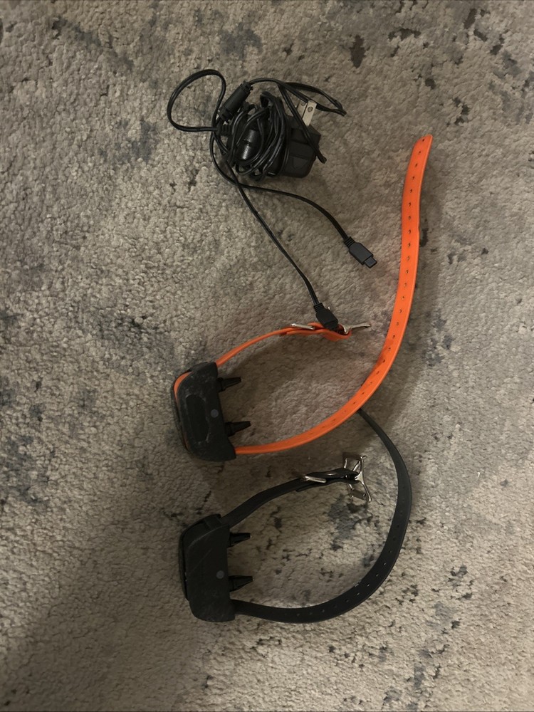 Sport Dog Training E-collar - Sit Means Sit